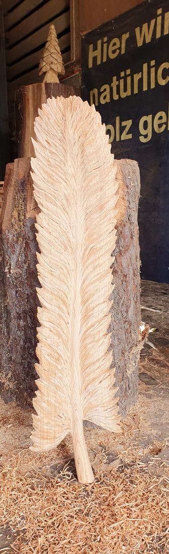 Feder aus Holz