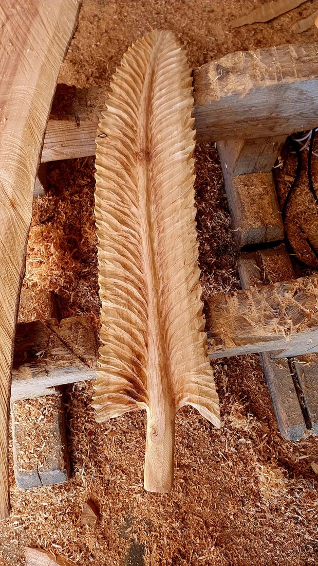 Feder aus der Nähe aus Holz