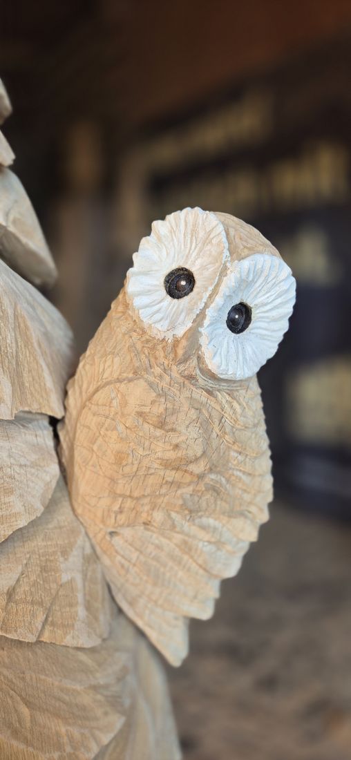 Eule mit weissen Augen an einer Tanne aus Holz