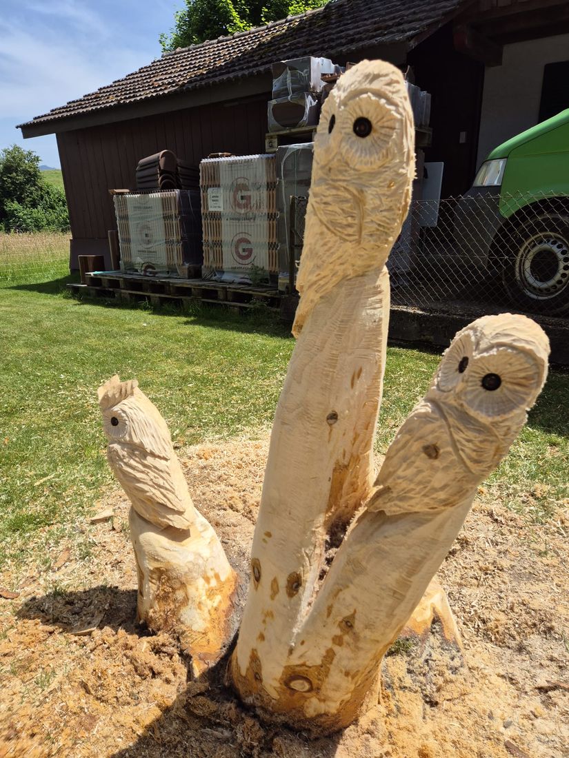 Zwei Eulen aus Holz
