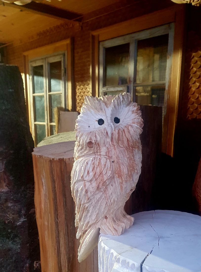 Eule auf dem Holzblock aus Holz
