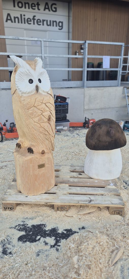 Eule mit Pilz aus Holz