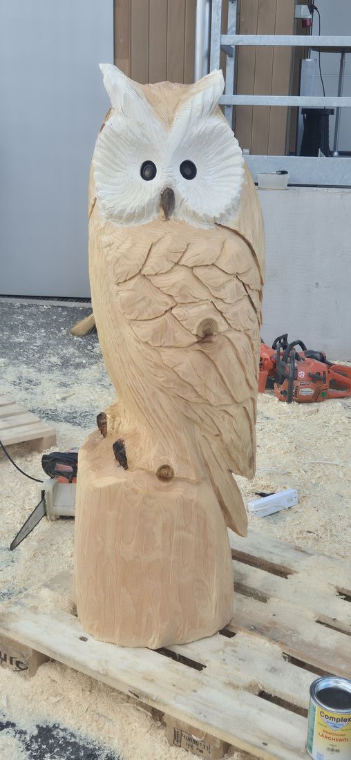 Eule mit weissem Gesicht aus Holz, live geschnitzt